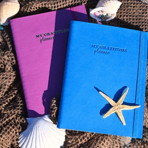 My gratitude planner